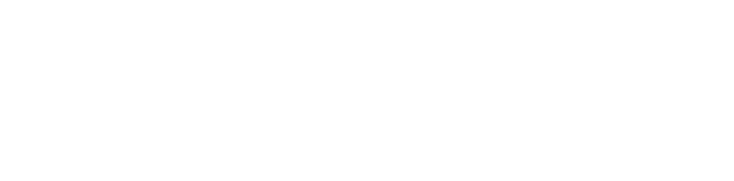 Mouse 3d connexion comgrap